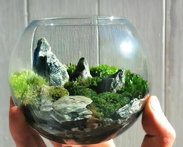 Мастер-класс «Мой новый прекрасный мир»