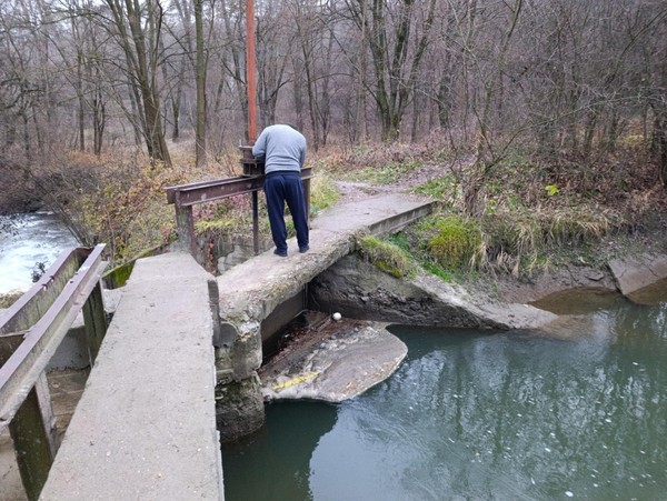 Акция «Эко-десант»