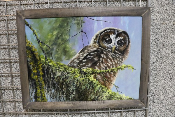 Выставка «Мир вокруг нас»