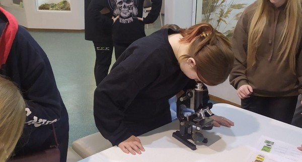 Интерактивный квест «Посылка из прошлого»