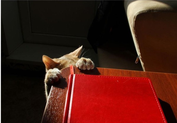 Выставка работ современных фотохудожников«»