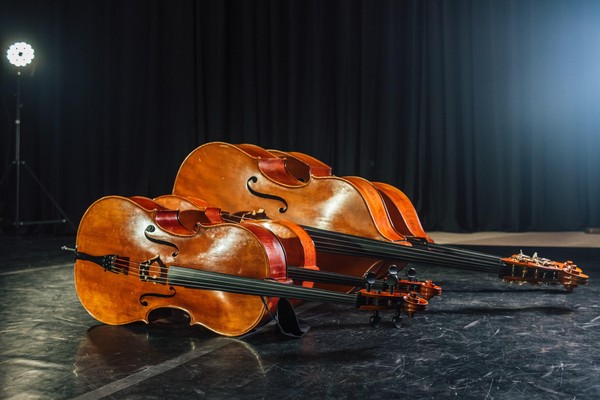 Фестиваль «Камерные встречи»