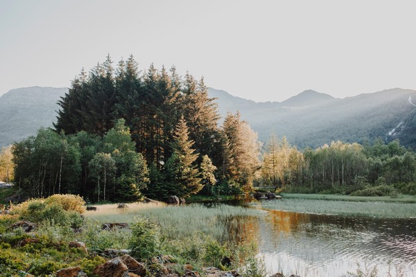 Беседа «В гостях у Пришвина»
