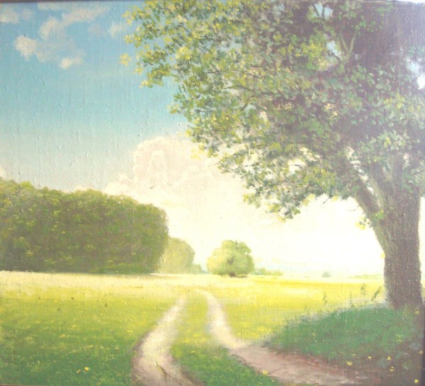 Программа «Солнечный день». История одной работы»