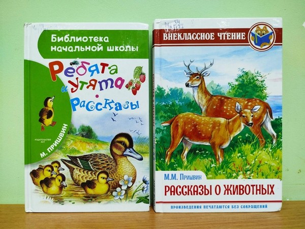 Литературный обзор «Волшебник русского леса»