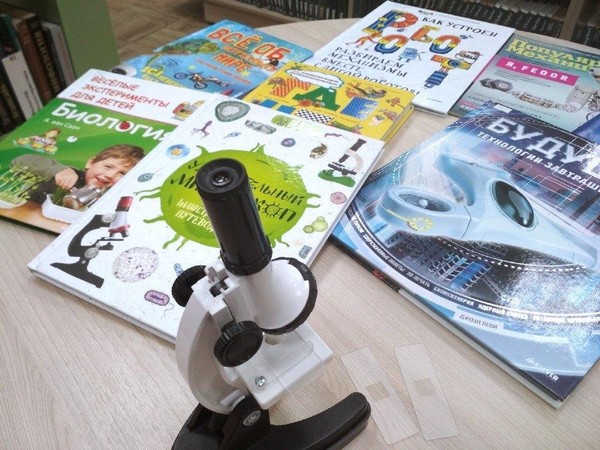 Игра «Занимательная бионика»