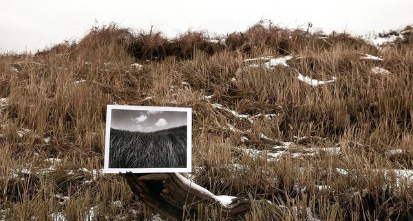 Выставка «Авторский взгляд»