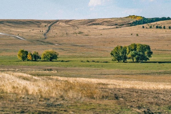 Лекция «Оренбургская область: природа и население степного края»