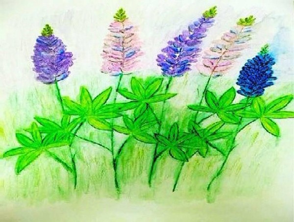 Мастер-класс по рисованию дельфиниумов