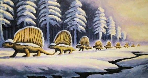 Выставка «Все чудесатее…»