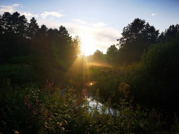 Творческая встреча «Мещерский край: открываем заново»