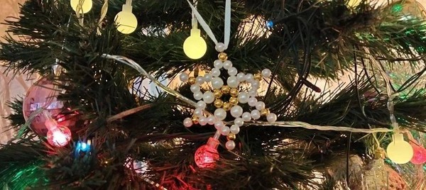 Интегрированное занятие «Образ снежинки в литературе и искусстве»