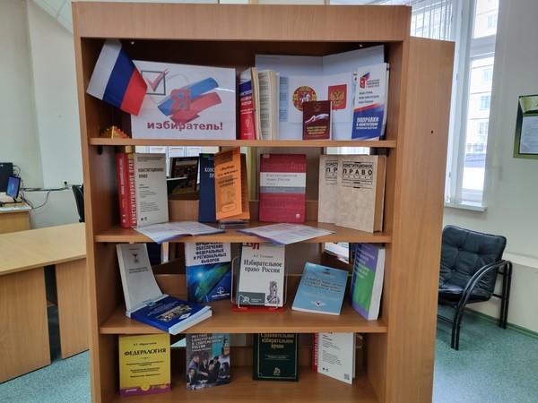 Выставка– вопрос «Кто такой избиратель?»