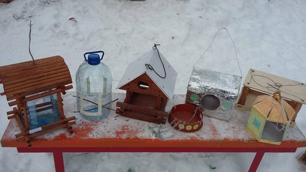 Экологическая акция «Пернатые жители»