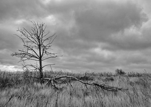 Выставка «Грани»