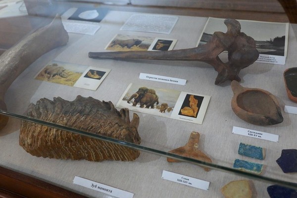 Выставка «Петр Симон Паллас. Естествоиспытатель. Географ. Путешественник»