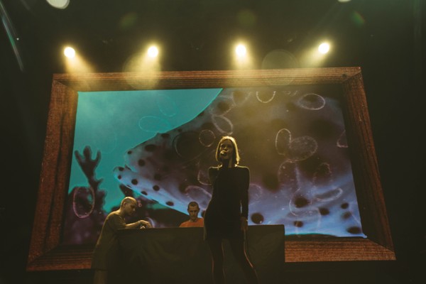 Порез на собаке