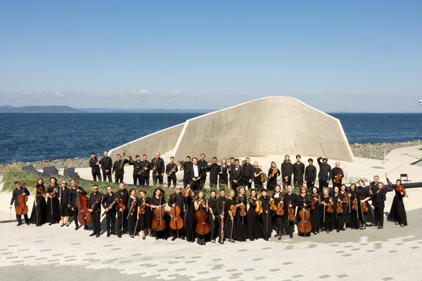 Программа «Проект «СимфоНочь»: академическая и популярная классика»