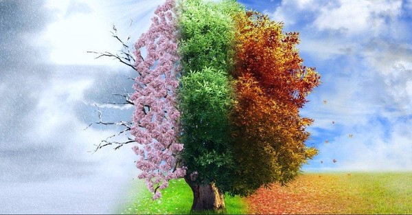 Лекция-концерт «Времена года»