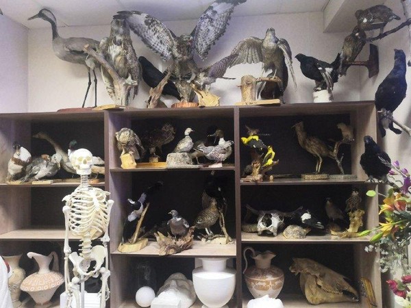 Иммерсивная экскурсия «Заветный тайник»