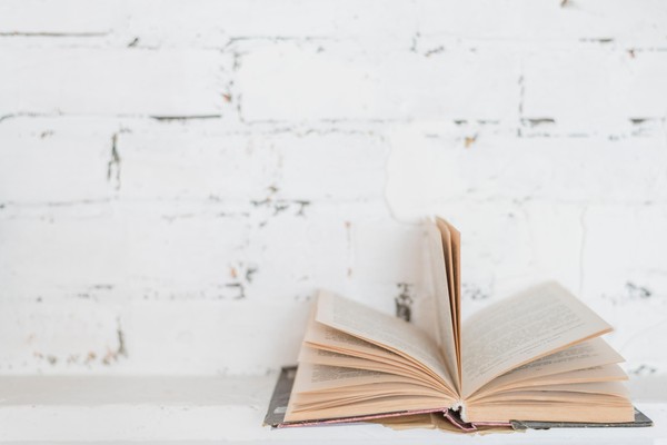 Презентация книги Андрея Полонова «Депеши Айболиту»