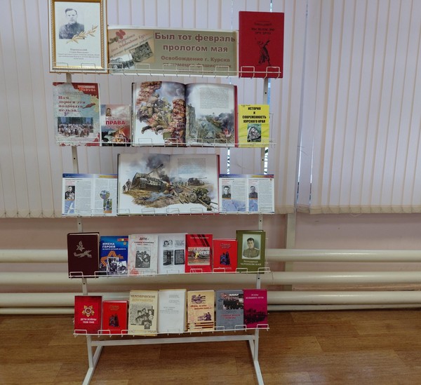 Книжно-иллюстративная экспозиция «Был тот февраль прологом мая»