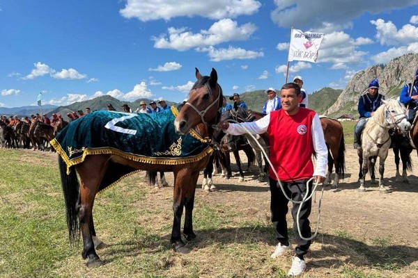 Интерактивный урок «Конь в традиционной культуре алтайцев»