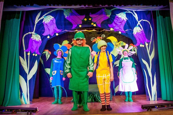 История одной мечты