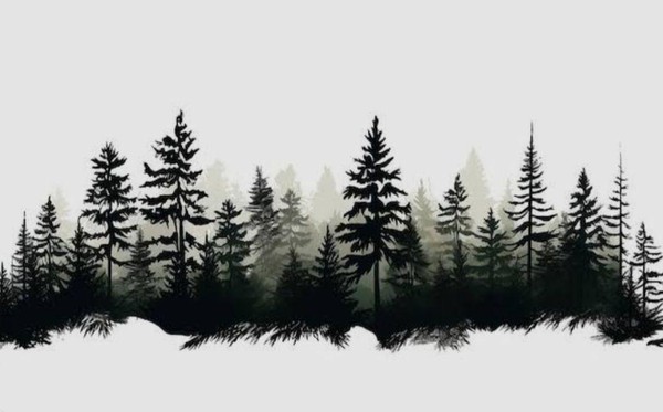 Мастер-класс «Деревья – графика тушью»