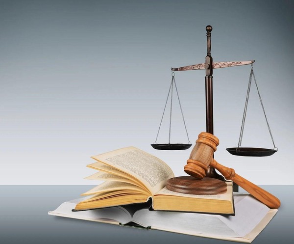 Час правовой информации «Живи по закону, поступай по совести»