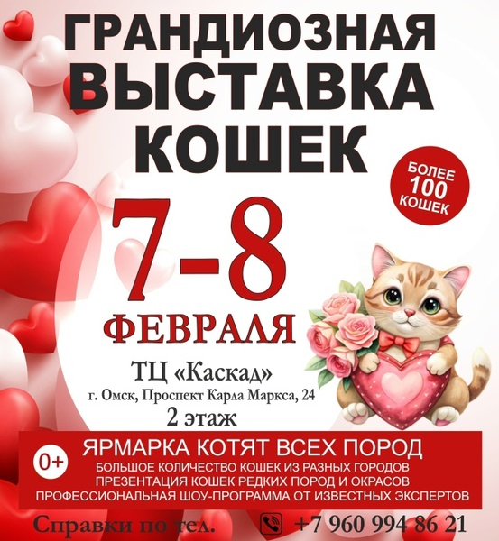 Международная выставка кошек 7-8 февраля 2026