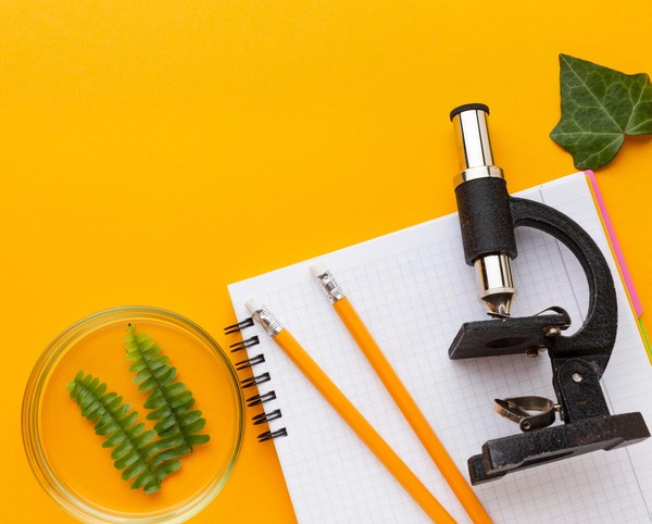 Дни науки в Сахалинском зоопарке