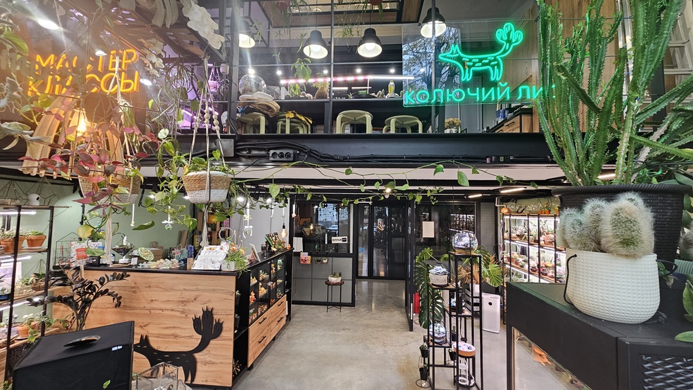 Мастер-Класс по созданию флорариума