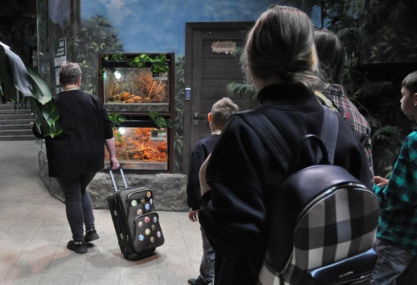 Бесплатная экскурсионная программа для семей участников СВО