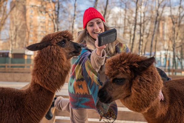 Бьюти-утро с альпаками