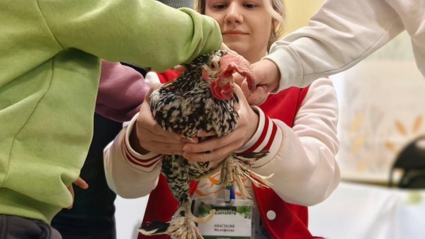 Встреча с показом мультфильмов «К 90-летию Юрия Энтина»