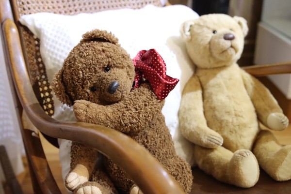 Выставка «Жить в мечте»