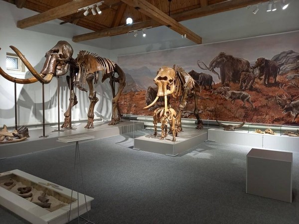 Выставка «Природа и человек: всегда вместе»