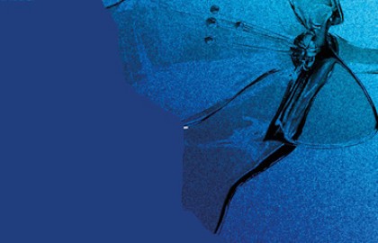 Хор как жизнь