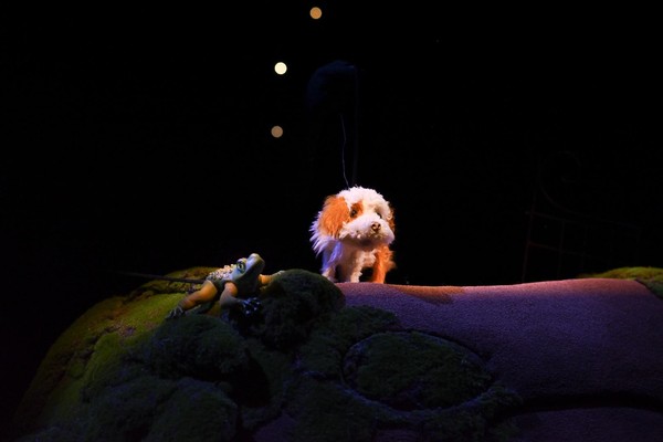 Спектакль «Умная собачка Соня»