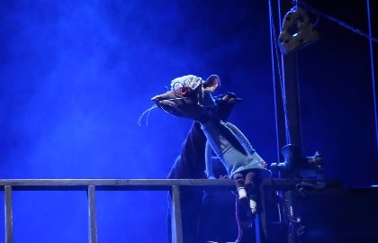 Все мыши любят сыр