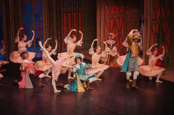 Спящая красавица