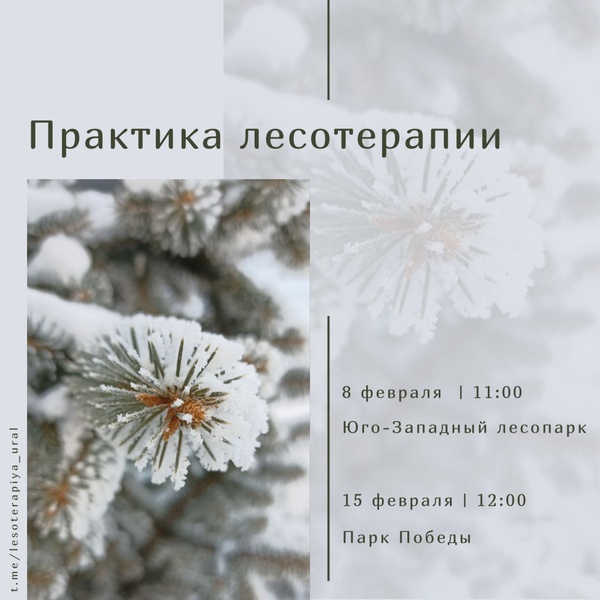 Лесотерапия