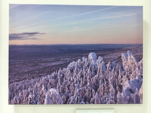 Фотовыставка «Лики природы»
