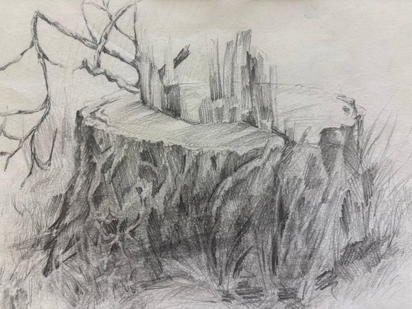 Выставка «Тюмень в детялях»