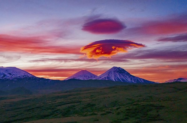 Выставка «Сердце Камчатки»