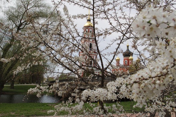 Программа «Сокровища России: путешествие для семьи в Старой Руссе»