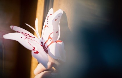 Мадам Баттерфляй