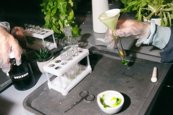 Биологические эксперименты