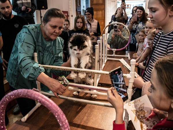 Программа «Замуррчательный фестиваль»